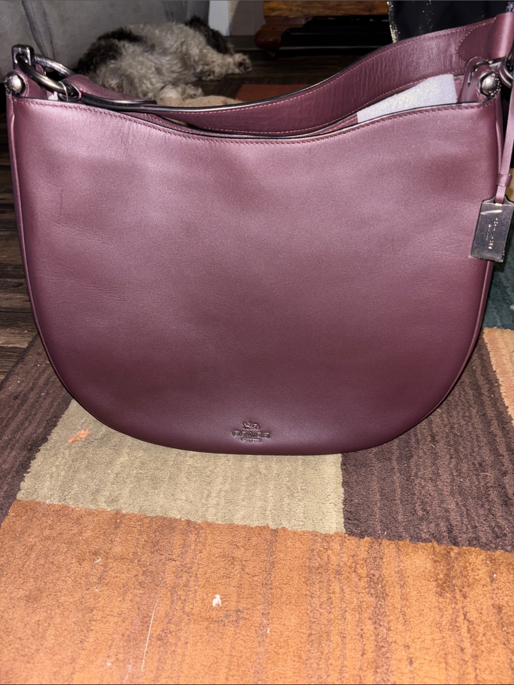 Coach Pebble Leather Hobo Bag in Plum